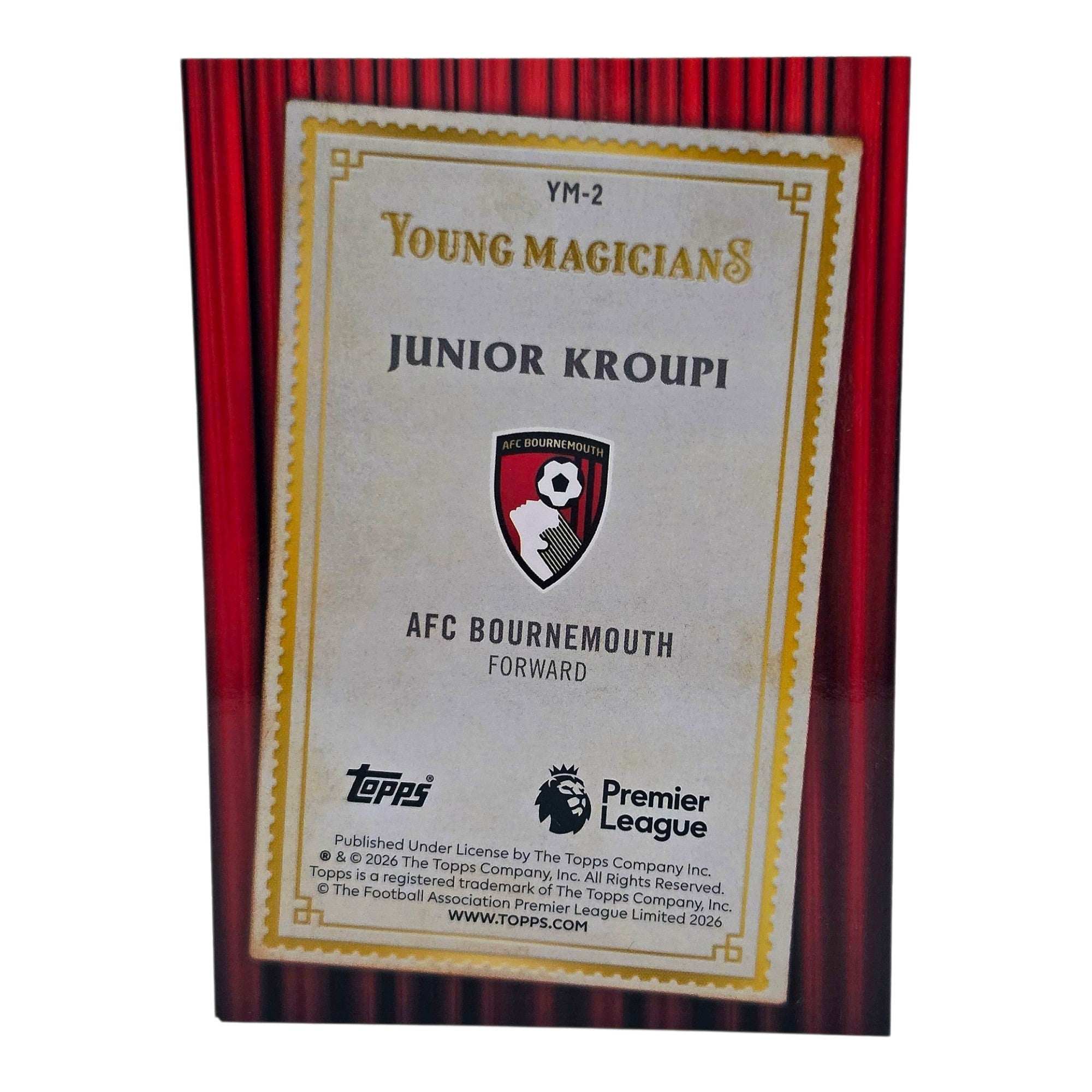 Junior Kroupi AFC Bournemouth Young Magicians Merlin Rückseite